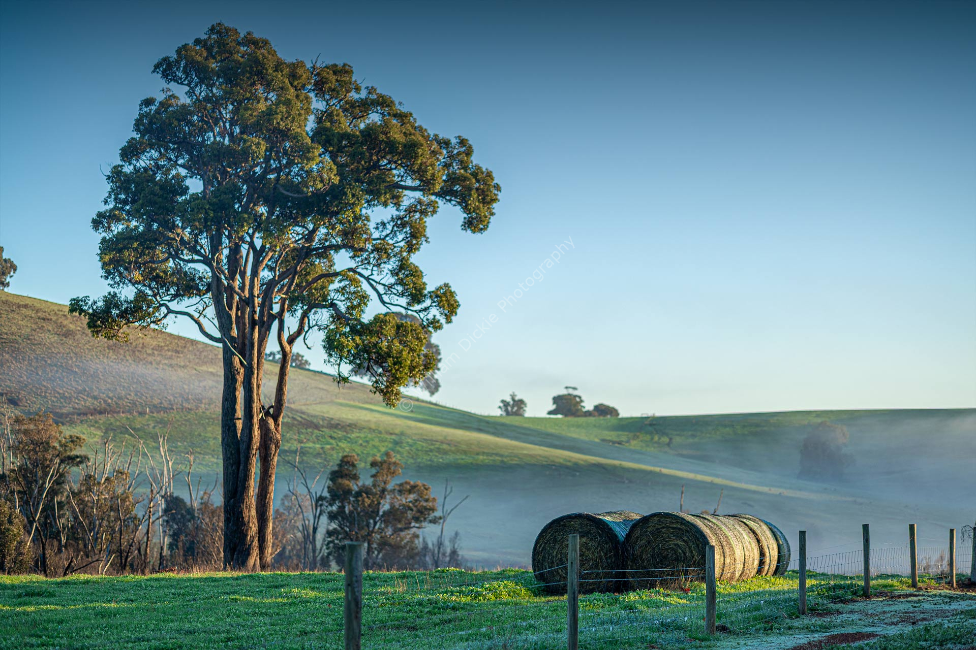 Agricultural Landscape - Donnybrook